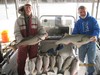 (01/25/2016) - Nice Striped Bass